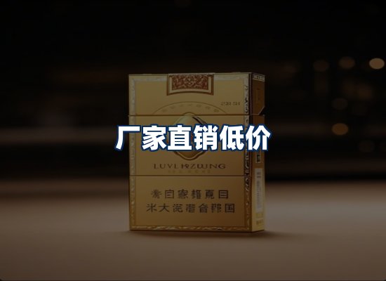 专业团队办公环境